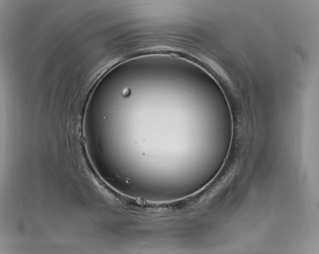X0000111850793200907231428