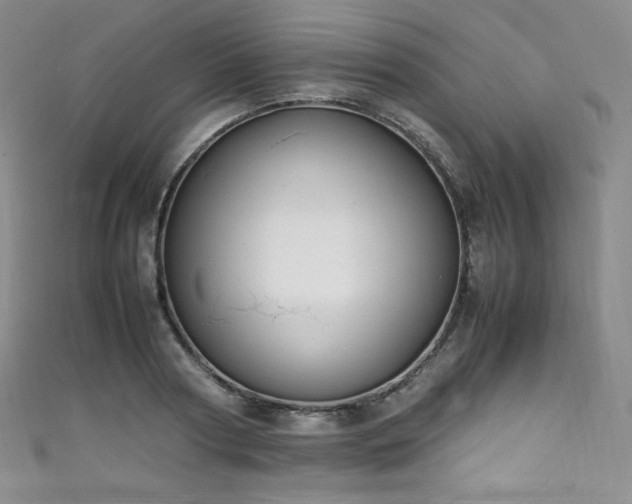 X0000111850794200907231427