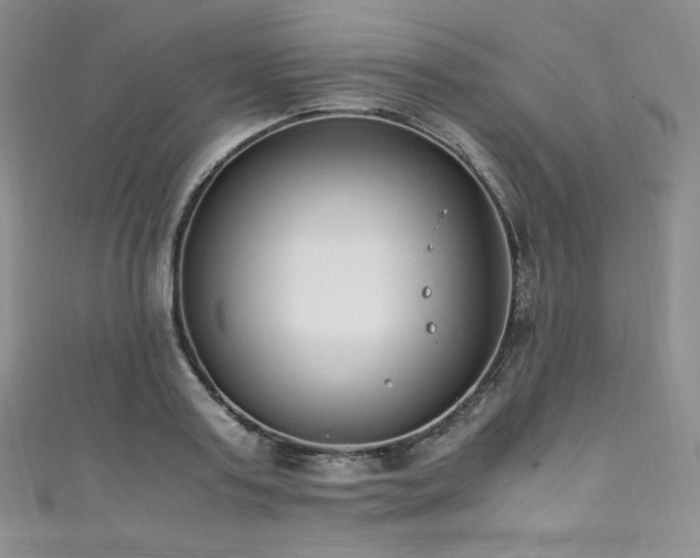 X0000111850795200907231427