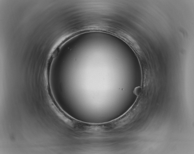 X0000111850796200907231427