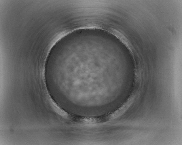 X0000111850797200907231427