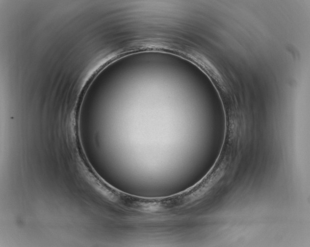 X0000111850798200907231427