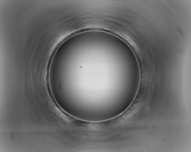 X0000111850799200907231427