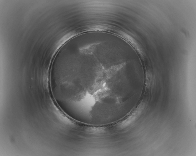 X0000111850802200907231427
