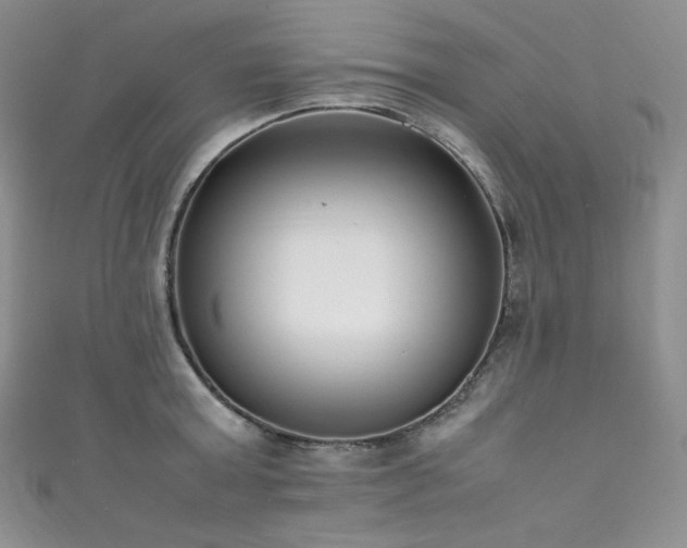 X0000111850803200907231427