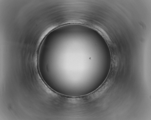 X0000111850804200907231427