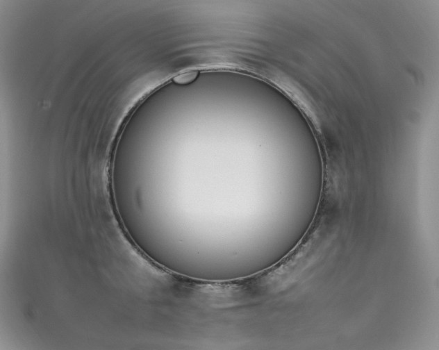 X0000111850805200907231427