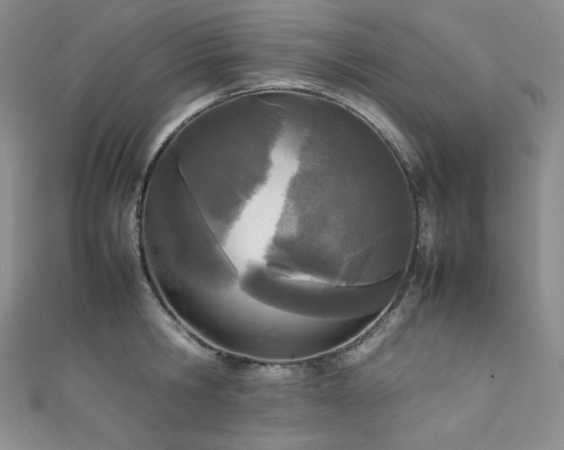 X0000111850806200907231427