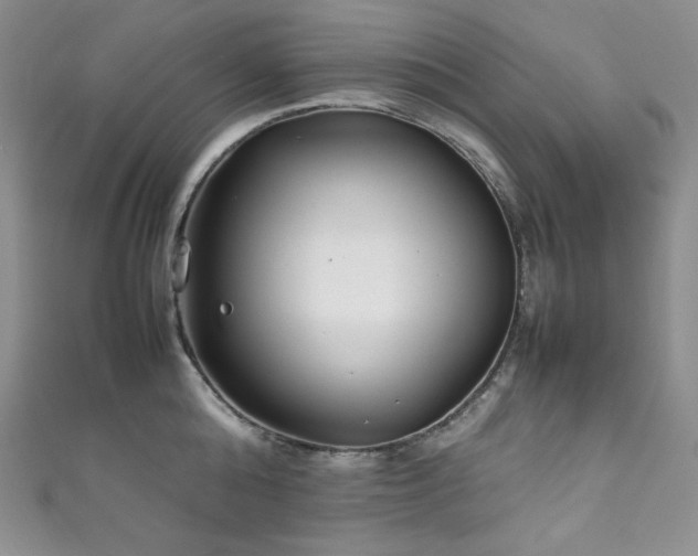 X0000111850808200907231427