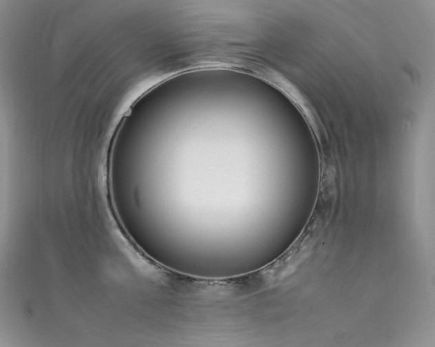 X0000111850811200907231427