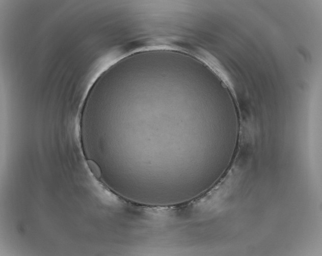 X0000111850813200907231427