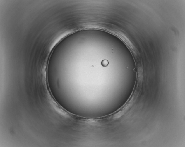 X0000111850814200907231427
