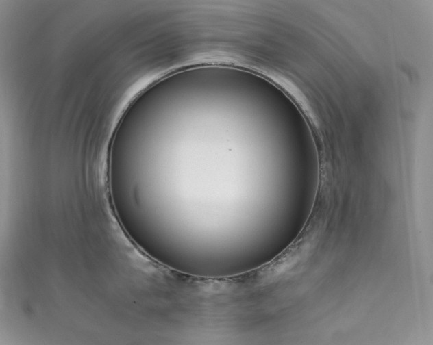 X0000111850815200907231427