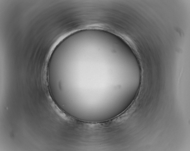 X0000111850816200907231427