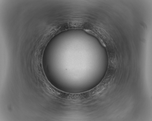 X0000111850817200907231427