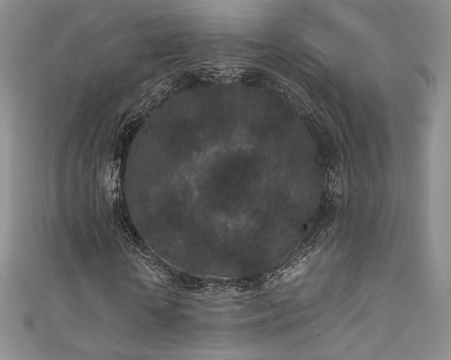 X0000111850818200907231427