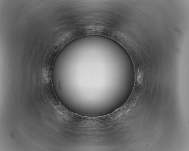 X0000111850819200907231427