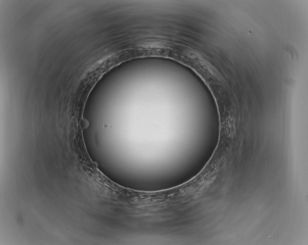 X0000111850821200907231427