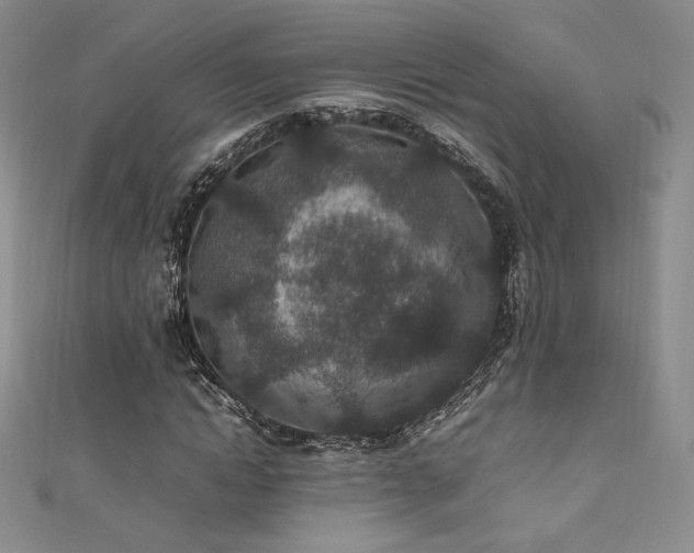 X0000111850822200907231427