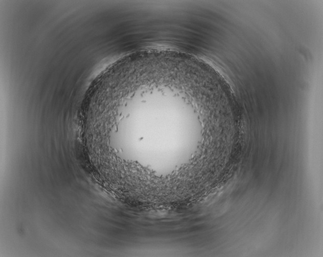 X0000111850823200907231427