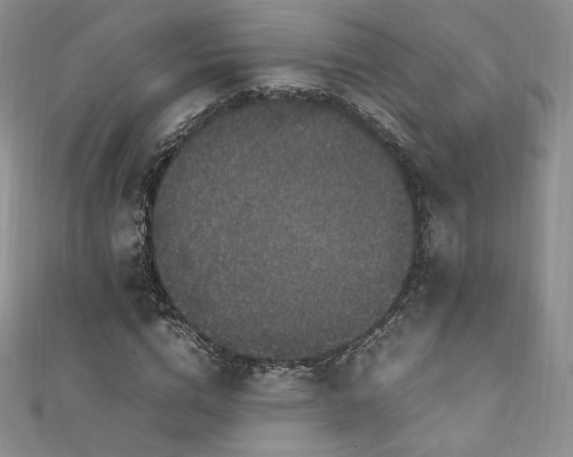 X0000111850824200907231427