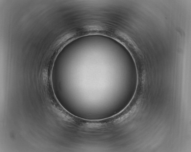 X0000111850825200907231427