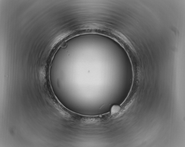 X0000111850826200907231427