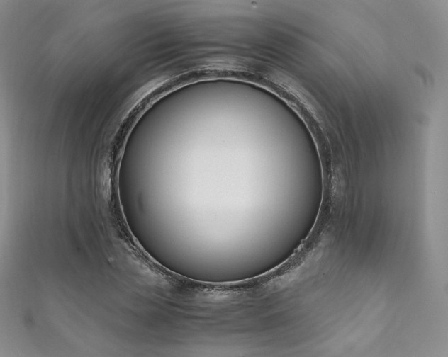 X0000111850829200907231427