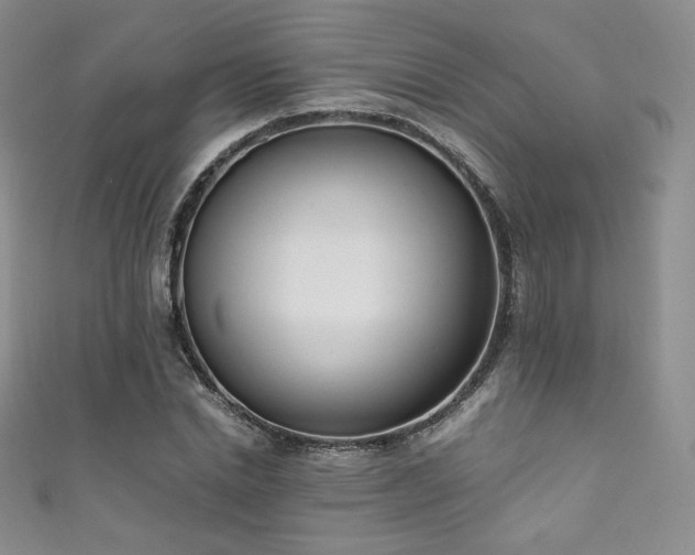 X0000111850830200907231427