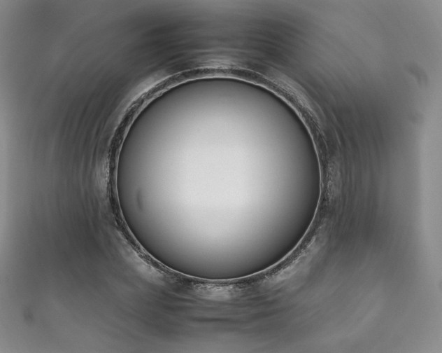 X0000111850831200907231427