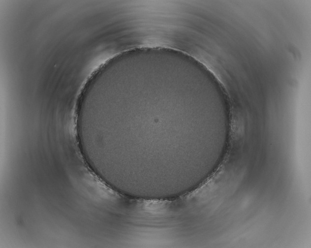 X0000111850832200907231427