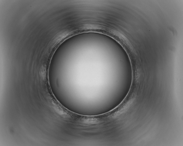 X0000111850833200907231427