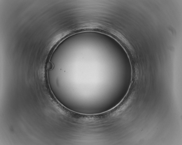 X0000111850834200907231427