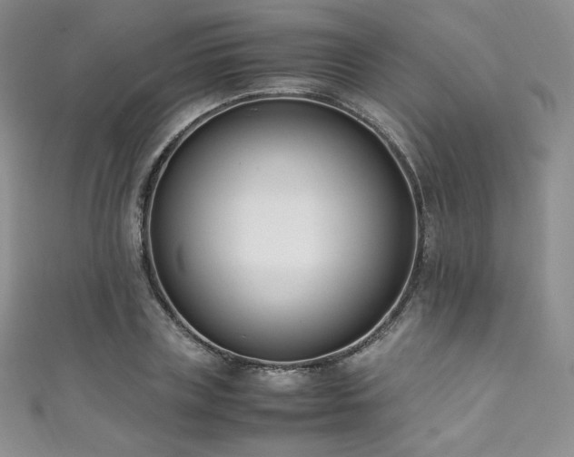 X0000111850835200907231427