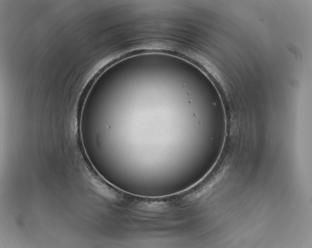 X0000111850837200907231427