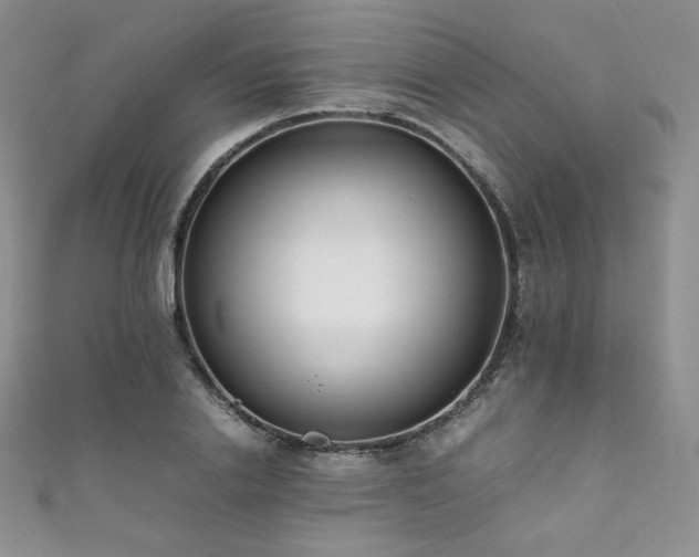 X0000111850838200907231427