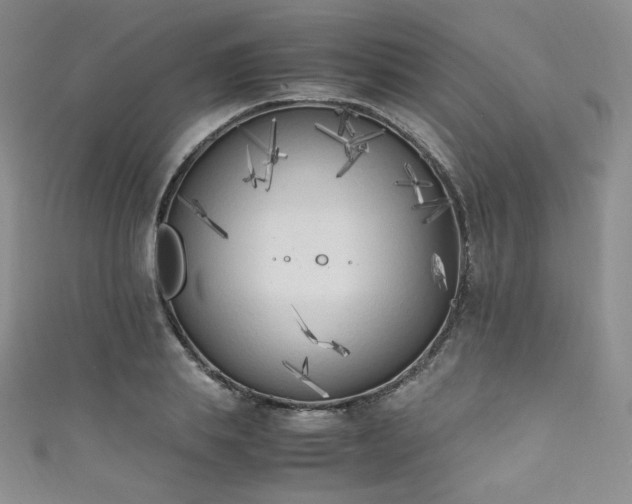X0000111850839200907231427