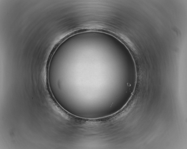 X0000111850840200907231427