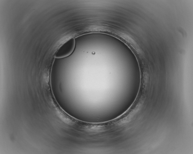 X0000111850841200907231427