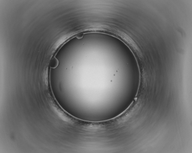 X0000111850842200907231427