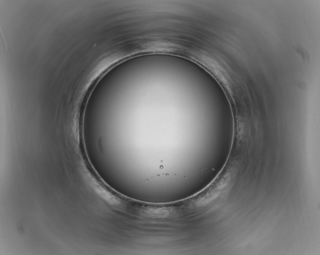 X0000111850843200907231427