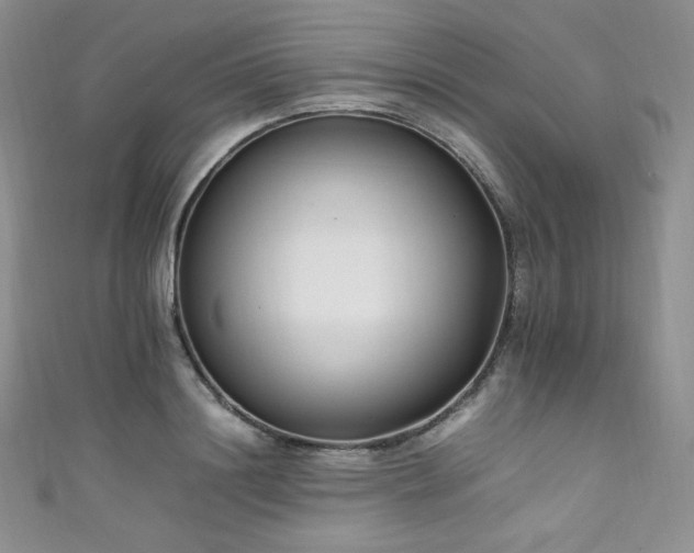 X0000111850844200907231427
