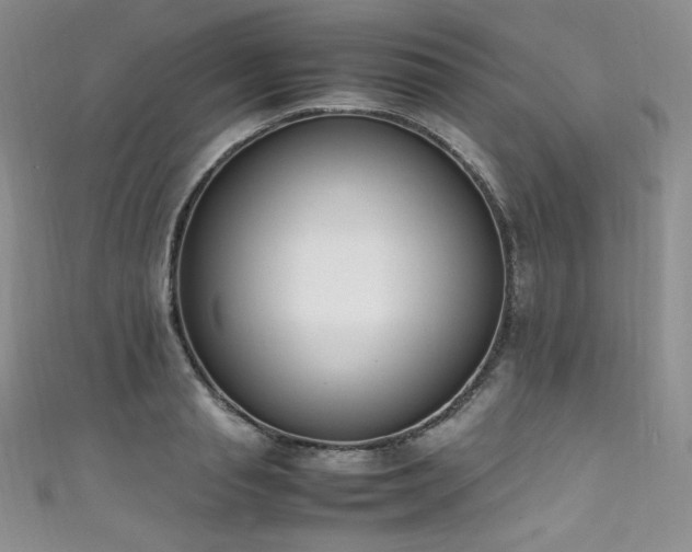 X0000111850845200907231427