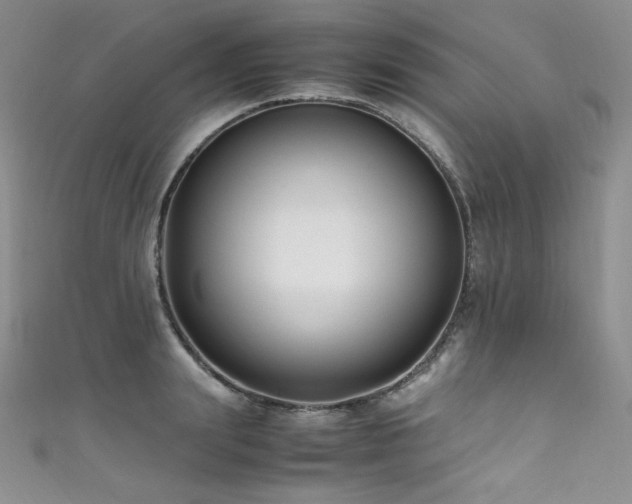 X0000111850847200907231427