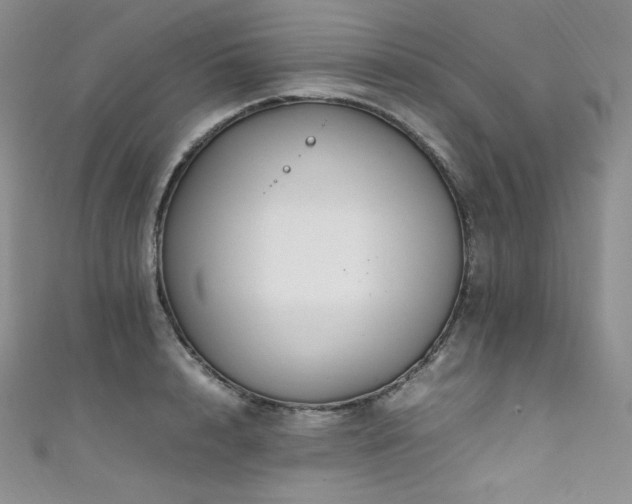 X0000111850848200907231427