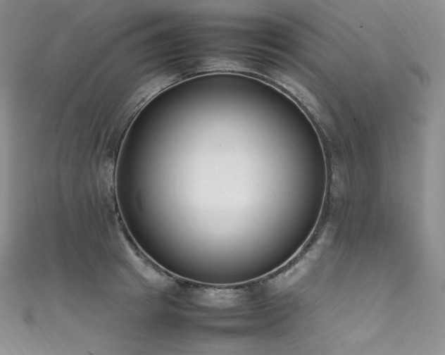 X0000111850849200907231427
