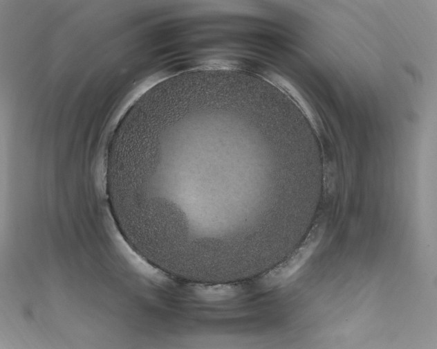 X0000111850851200907231427