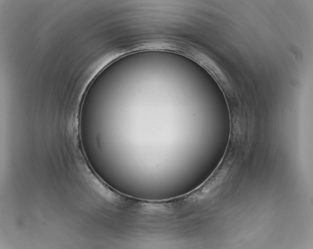 X0000111850852200907231427