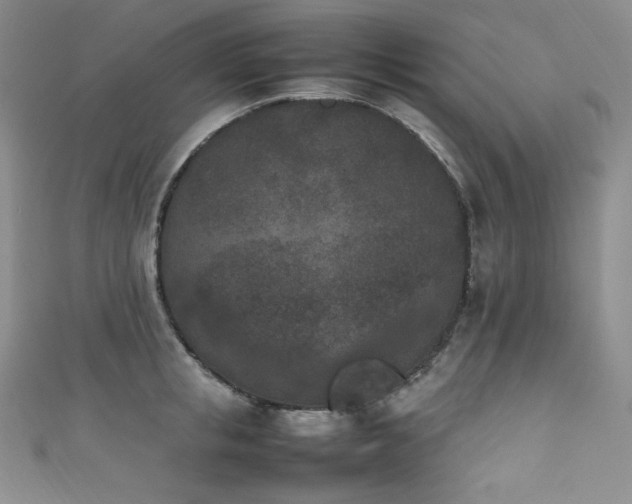X0000111850853200907231427