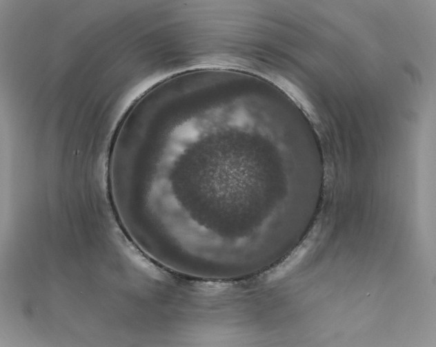 X0000111850854200907231427